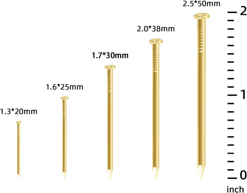 OUSCHR 200 PCS Round Head Nails, 2 Inches Hardware Nail, Nails for Hanging Pictures, Wood Nails, Gold Nails, Household Nails - Image 3